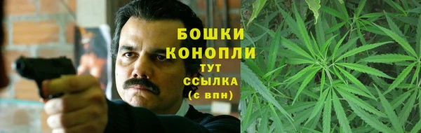 индика Горнозаводск