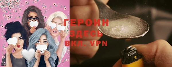 индика Горнозаводск