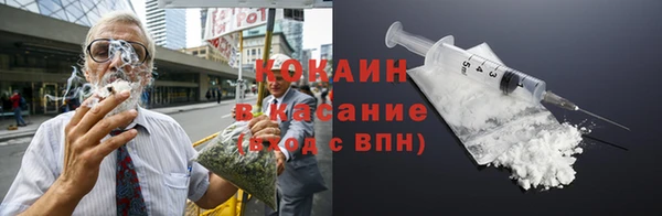прущие грибы Горняк