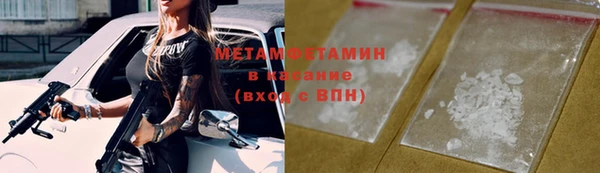 индика Горнозаводск