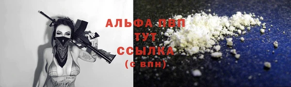 прущие грибы Горняк