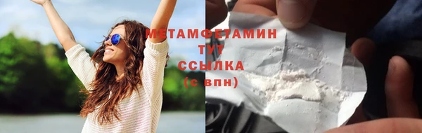 прущие грибы Горняк