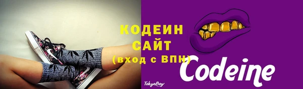 прущие грибы Горняк