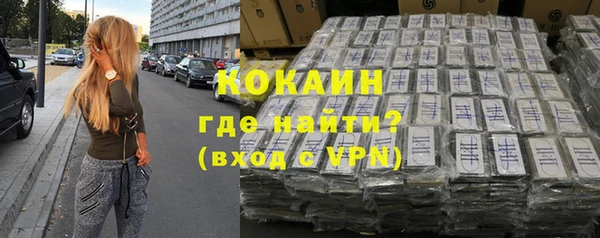 индика Горнозаводск