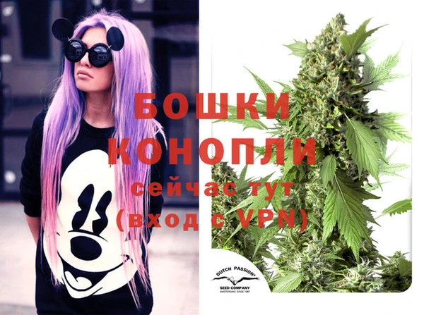 индика Горнозаводск