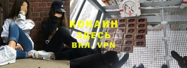 не бодяженный Горно-Алтайск