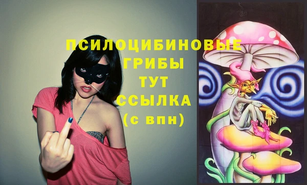 индика Горнозаводск