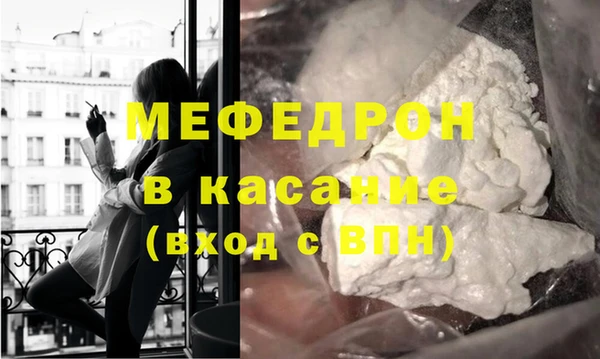 индика Горнозаводск