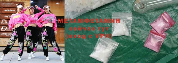 прущие грибы Горняк
