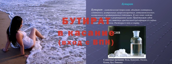 индика Горнозаводск