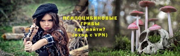 не бодяженный Горно-Алтайск