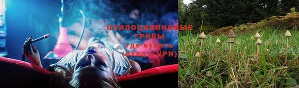 индика Горнозаводск