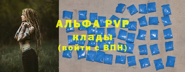 индика Горнозаводск