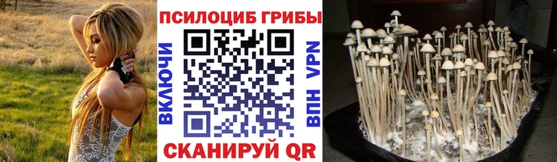 Галлюциногенные грибы мицелий  даркнет сайт  Пестово 