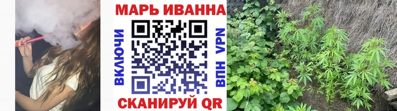 Шишки марихуана планчик  Пестово 